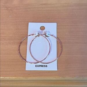 Express Blush Pink Hoop Earrings